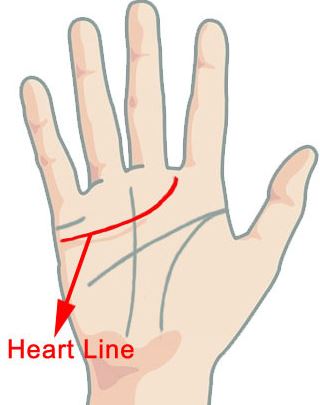 Heart-line-palmistry