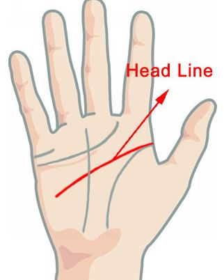 head-line-palmistry