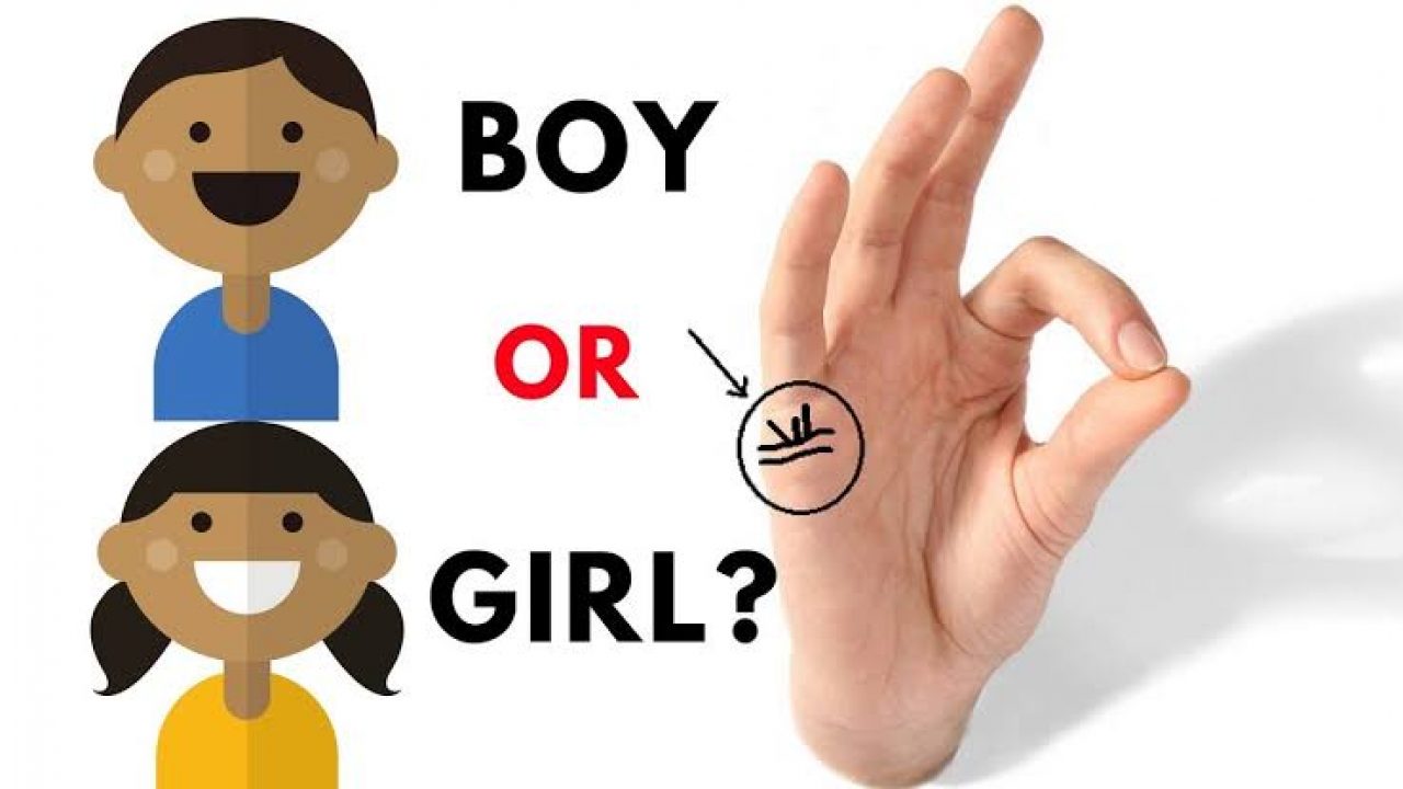 Palmistry : Children line (boy or girl/ number of kids/pregnancy – The State