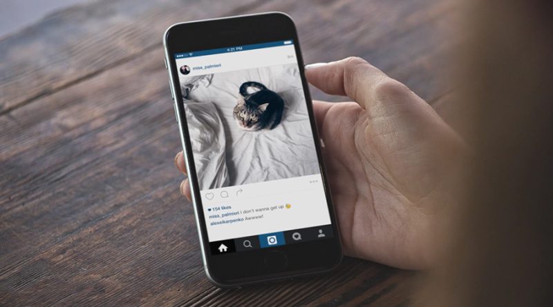 Managing Your Followers instagram