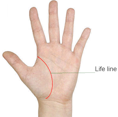 life line Palmistry