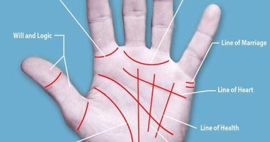 palmistry lines