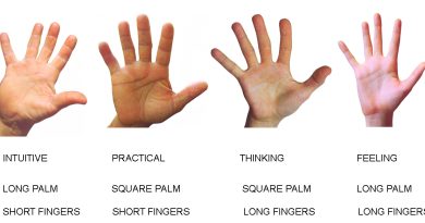 types of hand palmistry