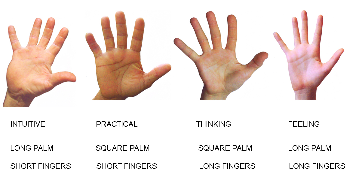 PALMISTRY : TYPES OF HAND - The State