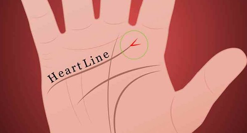 Does heart line on your palm end with V