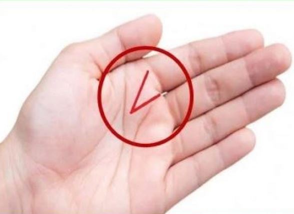 If you have a V mark in your hand, then you will also have a love marriage