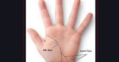 If you have this line in your hand, then you will travel abroad!