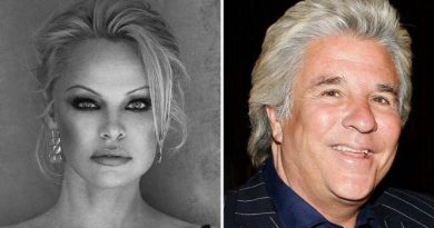 Pamela Anderson and Movie Mogul Jon Peters Call It Quits