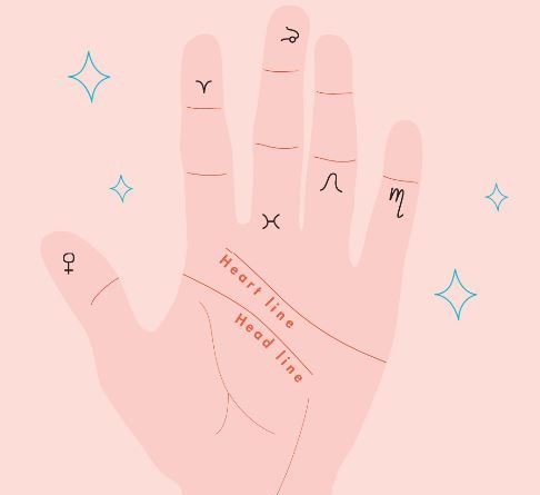beginner's guide to palm reading