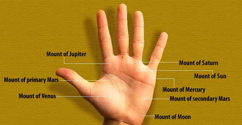 palmistry-do-you-have-a-mole-on-this-spot-of-your-palm-the-state