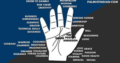 palmistry wealth and respect