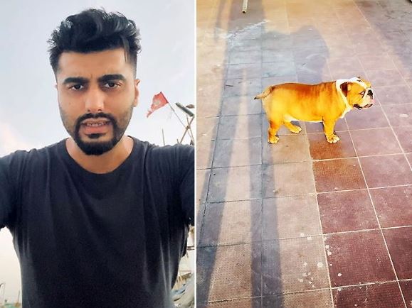 Arjun Kapoor shared the video of his dog and told his virtues, then wrote- Let's all become like this