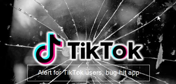 Alert for TikTok users, bug-hit app