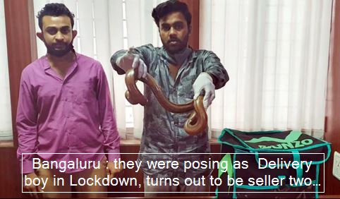 Bangaluru - they were posing as Delivery boy in Lockdown, turns out to be seller two-faced snake
