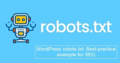 WordPress robots.txt- Best-practice example for SEO