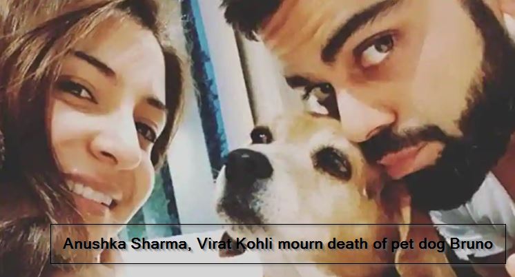 Anushka Sharma, Virat Kohli mourn death of pet dog Bruno_ ‘Graced our lives for