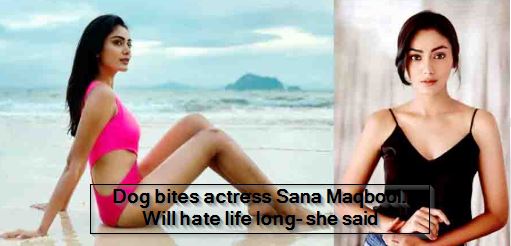 Dog bites actress Sana Maqbool. Will hate life long- she said