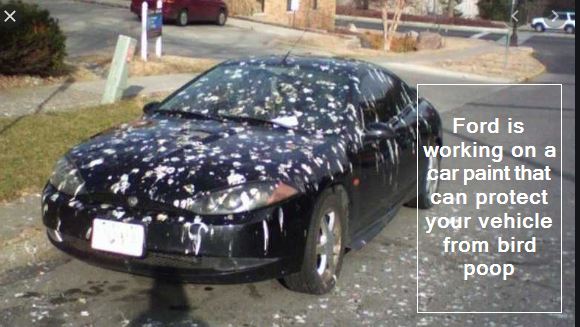 Ford is working on a car paint that can protect your vehicle from bird poop