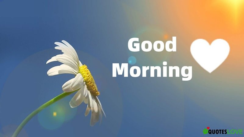 Good Morning Text Messages and SMS for your special someone, your Love ...