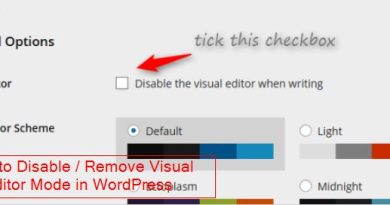 How to Disable -Remove Visual Editor Mode in WordPress