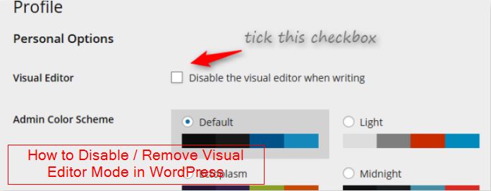 How to Disable -Remove Visual Editor Mode in WordPress