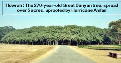 Howrah - The 270-year-old Great Banyan tree, spread over 5 acres, uprooted by Hurricane Amfan