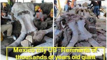 Mexico city US - Remnants of thousands of years old giant 'elephants' found under this airport