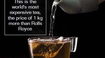 This is the world's most expensive tea, the price of 1 kg more than Rolls Royce