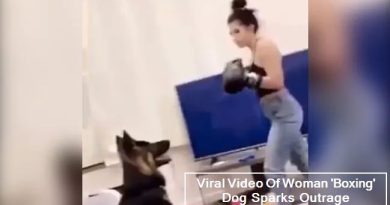 Viral Video Of Woman 'Boxing' Dog Sparks Outrage