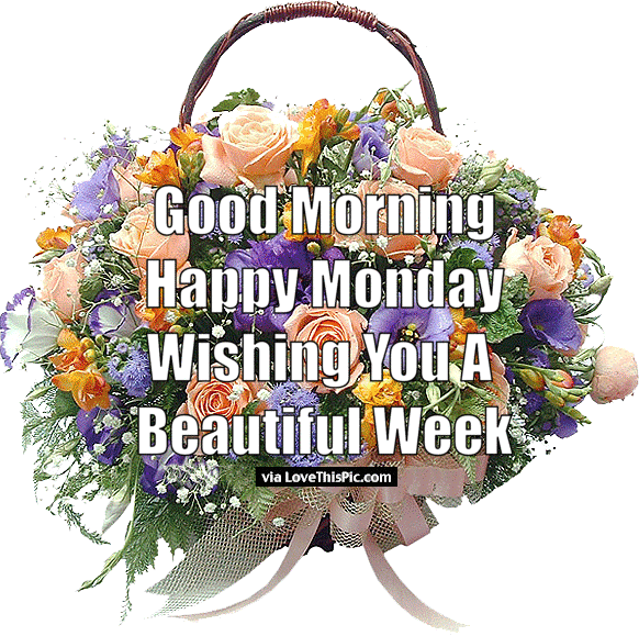 Good morning Monday : Monday morning messages, Quotes, Images vectors, GIF  and pictures – The State