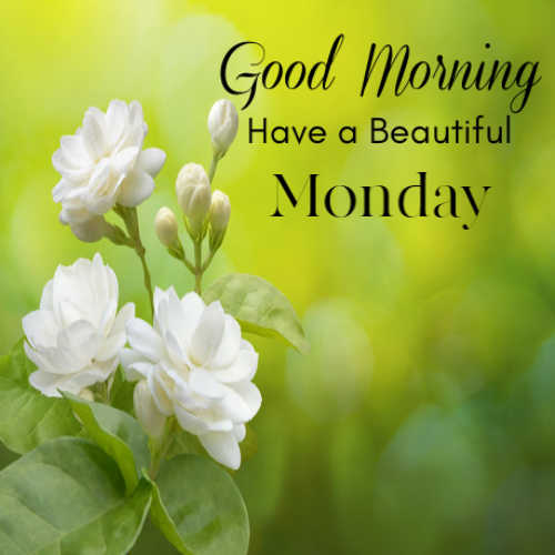 Good morning Monday : Monday morning messages, Quotes, Images vectors ...