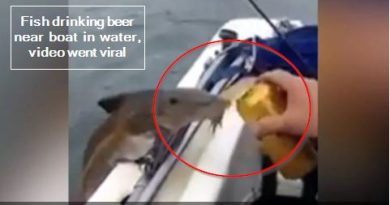 Fish drinking beer near boat in water, video went viral