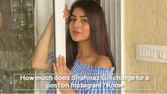 How much does Shahnaz Gill charge for a post on Instagram - Know