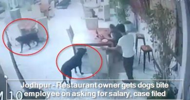 Jodhpur - Restaurant owner gets dogs bite employee on asking for salary, case filed