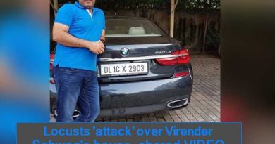 Locusts 'attack' over Virender Sehwag's house, shared VIDEO