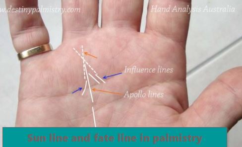 Palmistry sun line - Beginning from here makes a person shine in the world, fate line palmistry