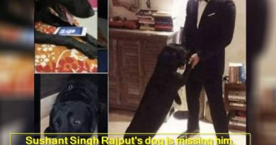 Sushant Singh Rajput's dog is missing him, emotional video is going viral