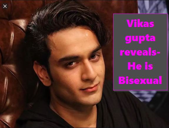 Vikas Gupta is bisexual he reveals