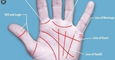 palmistry career, which field suits you