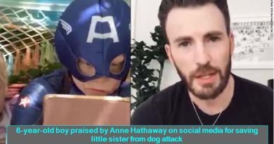 6-year-old boy praised by Anne Hathaway on social media for saving little sister from dog attack