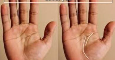 Palmistry Lifeline, know what it says about you