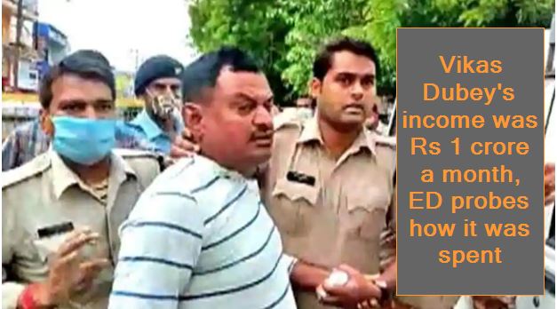 Vikas Dubey's income was Rs 1 crore a month, ED probes how it was spent