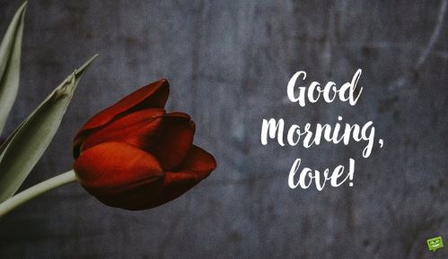 good morning my love - Good morning Love
