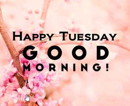 good morning tuesday wishes Happy tuesday