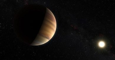 The first exoplanet was discovered in 1992 (artist