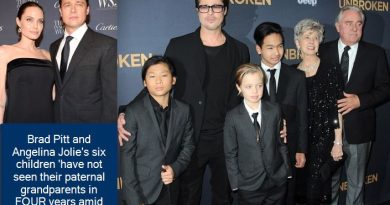 Brad Pitt and Angelina Jolie's children 'have not seen their paternal grandparen