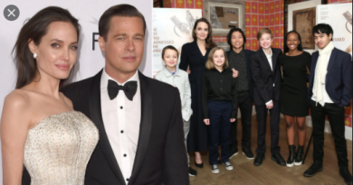 Brad Pitt thinks Angelina Jolie has gone 'way too far' with divorce proceedings as she 'threatens to take the kids to London'