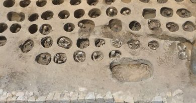 Excavations at a construction site for a train station in Japan have revealed an burial ground containing the bones of 350 people in tiny round graves, pictured