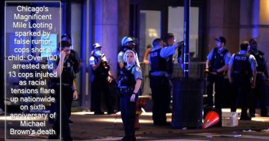 Chicago's Magnificent Mile Looting sparked by false rumor cops shot a child Over 100 arrested and 13 cops injured as racial tensions flare up on sixth anniversary of Michael Brown's death