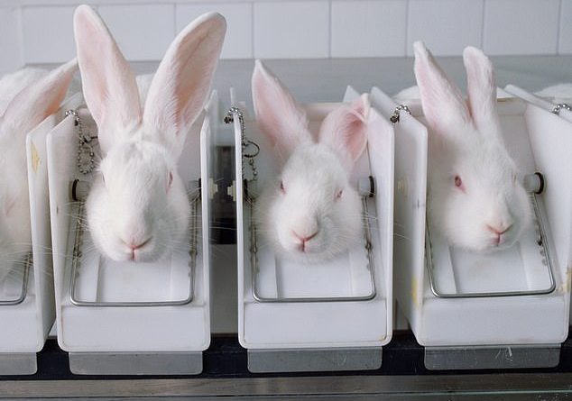Eurocrats have insisted that chemicals used in many popular High Street brands must be tested on animals.